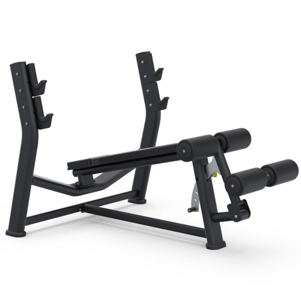 Downward angled bench press. BioMotion (BML 05) Downward angled bench press. BioMotion (BML 05)