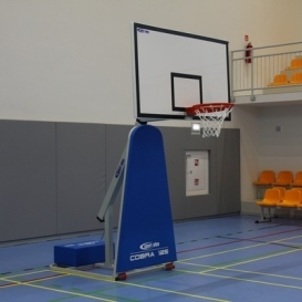 Basketball travel baskets