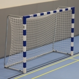 Handball goals professional